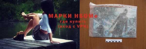 шишки Белокуриха