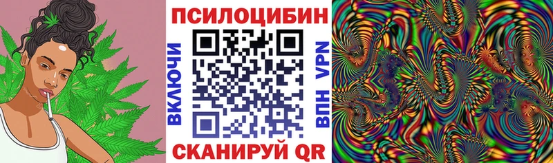 Галлюциногенные грибы Cubensis  Ветлуга 